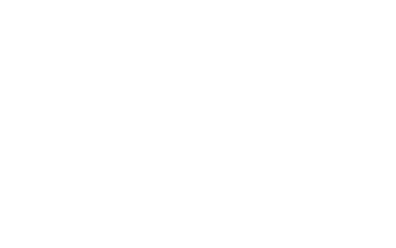 Safe Shield Insurance