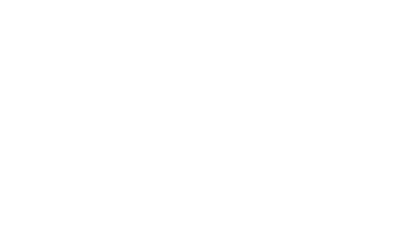 Alpha Limited